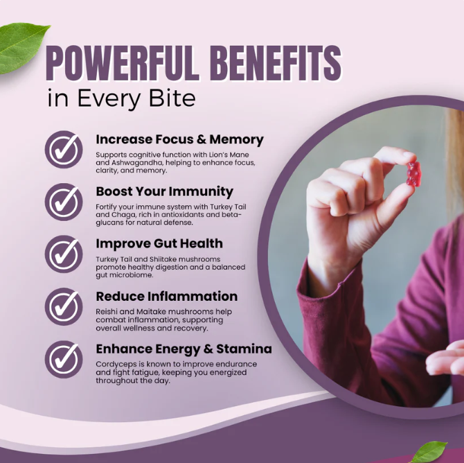 Brain boosting mushroom gummies